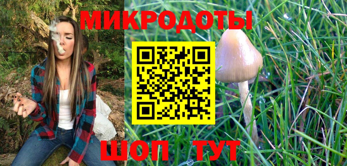 Галлюциногенные грибы Psilocybine cubensis Октябрьский